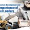 Infrastructure Development and the Importance of Wheel Loaders